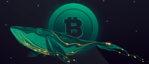 Bitcoin Whale